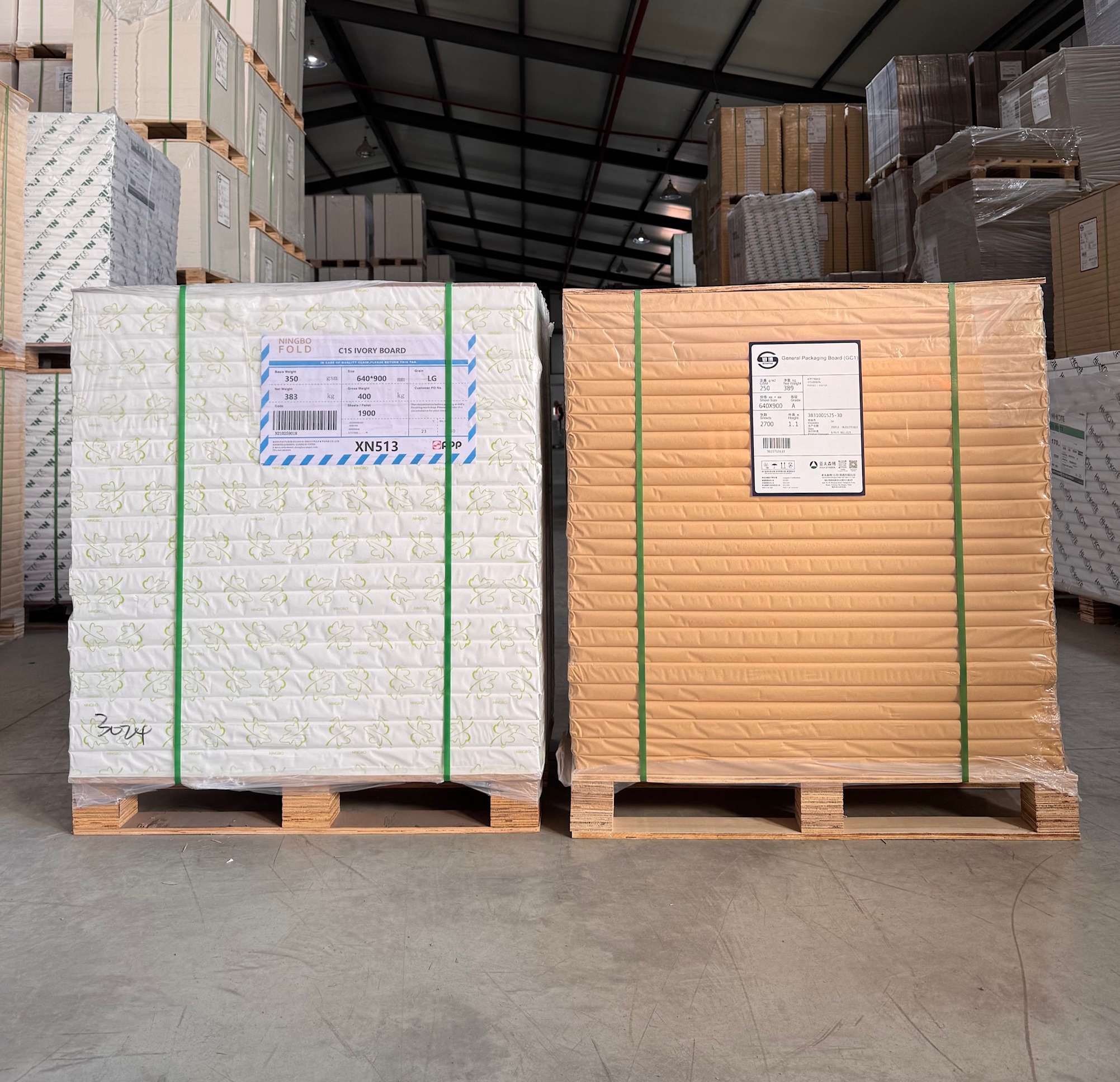 ბრისტოლი